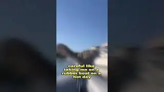 Cat JUMPS off the boat 