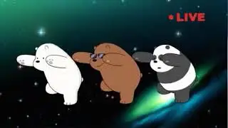 osos bailando por 5 minutos