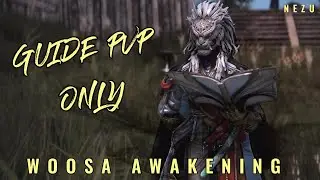 BDO Woosa AWAKENING GUIDE PVP