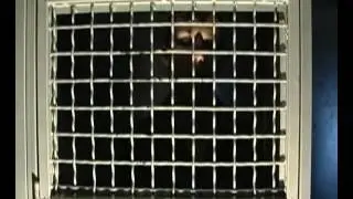 Услышь меня,мама...