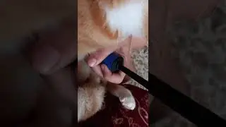 Укол стёпе.