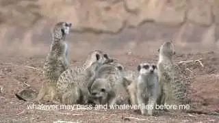 Worship Africa - New Generation - 10 000 Reasons