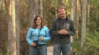 Inside Birding: Habitat