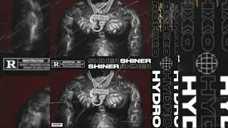 [20+] EST GEE LOOP KIT / SAMPLE PACK - SHINER (LIL BABY, NARDO WICK, DETROIT, 42 DUGG, MONEYBAGG YO)