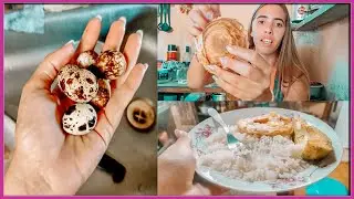 LO QUE COMO EN UN DÍA VIVIENDO EN CUBA🍽️ La realidad que vivimos☹️ / Soy Klaudia