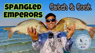 How to catch and cook Sheri fish   - Fishing  In Qatar