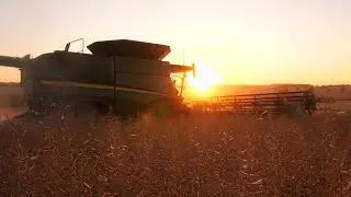 John Deere S780 & S680 Harvesting Canola | 2019 Harvest Western Australia
