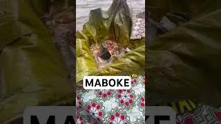 Maboke, local food in Kinshasa - Tried this when you are in congo #congovlog #kinshasa #travel
