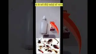 घर में कीड़े मकोड़े मच्छरों से परेशान हो तो 30 रुपए में bhagaye