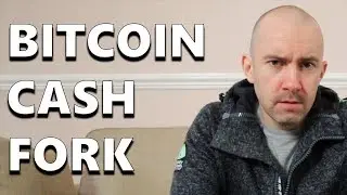 Satoshi's Vision at Heart of Bitcoin Cash Hard Fork Drama