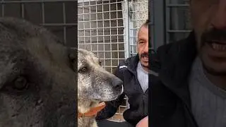 LEGENDARY KANGAL YAVUZ AND BARIŞ ÇİÇEK