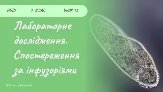 Лабораторне дослідження “Спостереження за інфузоріями»