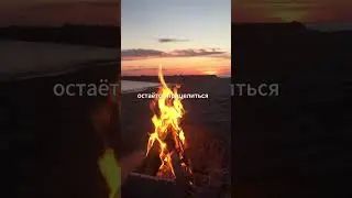 Разговаривают два приятеля охотника  #юмор #приколы  #анекдоты