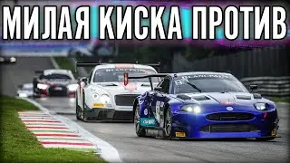 РОЗОВАЯ КИСКА. Jaguar на Монце.