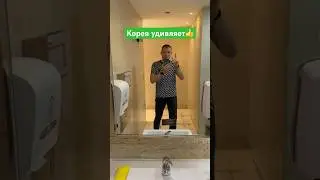 ‼️Туалет в Корее ‼️Удивительная Корея‼️