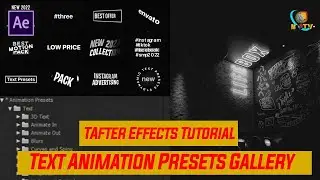 How to Use and Edit Text Animation Presets in After Effects 2024   Preview Gallery | Typography