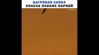 Я в неё влюбился 😻 // 