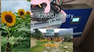 Tour Bahong Sunflower Farm & Living Gifts Nursery La Trinidad near Baguio & diy 32650 battery bank