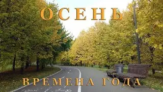 Времена года. Осень