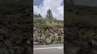 Switzerland🇨🇭 ch/ On the way to Poschiavo⛰️ #switzerland #travel #swissalps #video