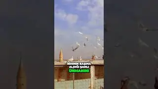Kuşlar  Bu Şehrin Özgür Ruhunun İkonik Temsilcileri