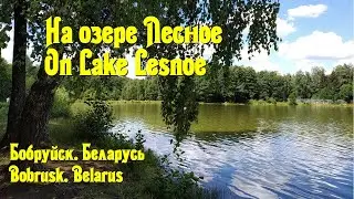 На озере Лесное. Бобруйск. On Lake Lesnoye. Bobruisk.