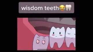 Wisdom Tooth / Wisdom Teeth