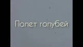 ПОЛЕТ НИКОЛАЕВСКИХ! НОЯБРЬ 2019!
