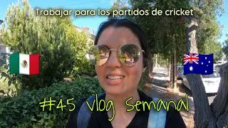 Se acorta el partido de Cricket al igual que el trabajo | Monumentos históricos en las calles