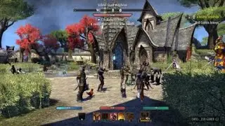 The Elder Scrolls Online: Tamriel Unlimited - Goa