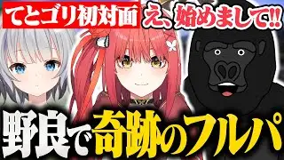 【APEX LEGENDS】心白てとと野良マッチで奇跡の初対面を果たすゴリラ【バーチャルゴリラ/心白てと/パカエル】
