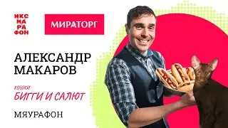 Александр Макаров,  Бигги и Салют