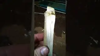 Пневматическое баловство 3