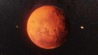 We might have accidentally killed the only life we ever found on Mars nearly 50 years ago