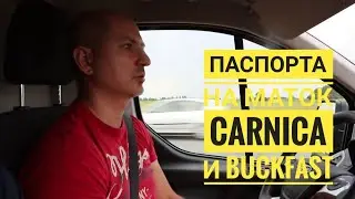 Анатолий Коняев (Голландия): О паспортах на маток 