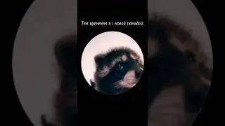 У кого также ? 