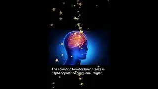 Did you know that (interesting fact)