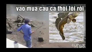 cau ca khong luoi 2021