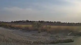 Driving Through A Stunning Wheat Field With My Mi Dash Cam 2!