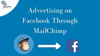 New MailChimp Facebook Ad Tool Review