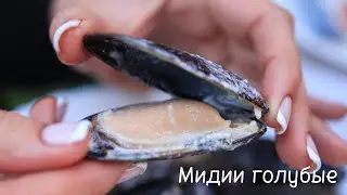 Мидии голубые в раковине в сливочном соусе. Вкуснятина
