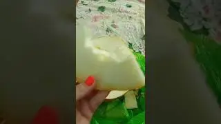 КРАСНОДАРСКАЯ ДЫНЯ