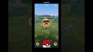 ✨ Shiny POKEMON Alert! ✨subscribe for extra shiny luck :] #shinypokemon #pokemongo