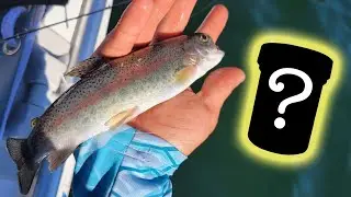 This Bait SLAYED! 20+ Rainbow Trout at my Favorite Lake