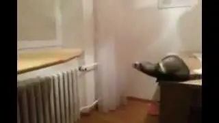 Когда ты уверен в своих силах