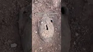 मुझे मालूम था ऐसा ही करेगा यह