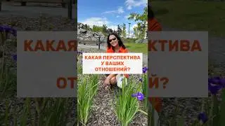 КАКАЯ ПЕРСПЕКТИВА У ВАШИХ ОТНОШЕНИЙ?