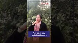 You go at red, but stop at green. What am I?