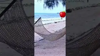 История из жизни: Секреты вечной молодости.