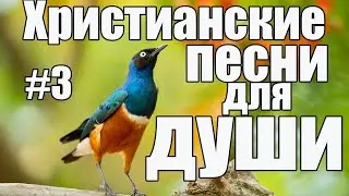 Христианские песни не новые